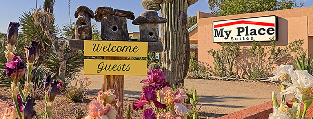 pet hotel in wickenburg az